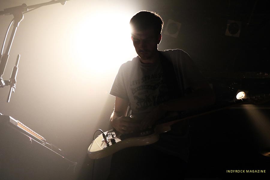 wolfalice08