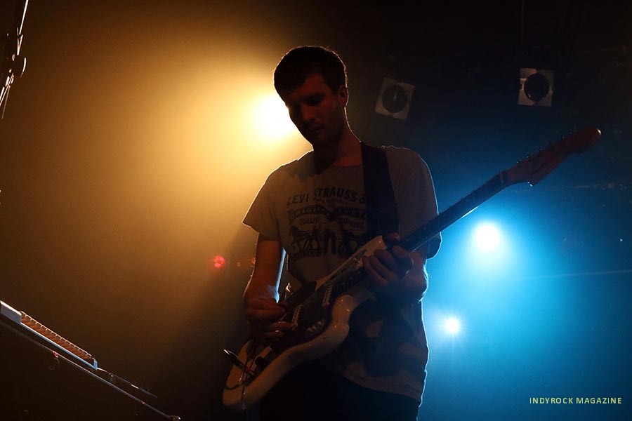 wolfalice10